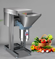 Groente-En Fruitslijpmachine Knoflookpuree & Chili Wortelpasta Breekmachine Keukengehakmachine