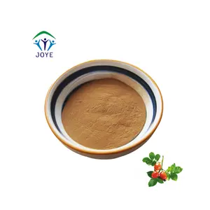 Rose Hip extract powder with 5% Vitamin C Rosehip extract