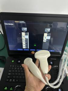 Laptop 15.6 inci mesin <span class=keywords><strong>Ultrasound</strong></span> dokter hewan pemeriksaan cembung mikro frekuensi tinggi <span class=keywords><strong>Ultrasound</strong></span> untuk klinik hewan peliharaan - Product Image 2