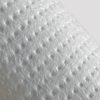 Filtre en PP soufflé à chaud 1 micron 5 microns 10 20 pouces Cartouche filtrante à sédiments pour l'eau 500L/heure Traitement de l'eau industrielle