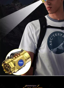 Bán Buôn Tùy Chỉnh 450 Lumens Loại C Có Thể Sạc Lại Nhựa Đèn Pin Thuận Tiện Loại C Có Thể Sạc Lại Đèn Pin - Product Image 6