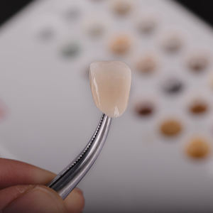 치과 실험실 용 치과 얼룩 및 유약 액체 지르코니아 액체 페이스트 유세라 중국 공장의 치과 기술자 - Product Image 6