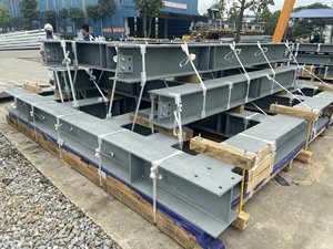 Parrilla grande prefabricada, estructura de acero para granjas - Product Image 5