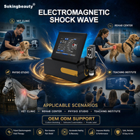 Appareil de thérapie électronique magnétique à ondes de choc ODM pour chevaux, traitement non invasif, équipement de thérapie par ondes de choc pour animaux de compagnie