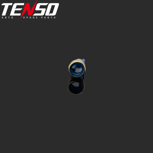 Tenso 11001-2 Micro-filtre universel d'injecteur de carburant de haute qualité 6*12mm Filtre à panier pour injecteurs de carburant <span class=keywords><strong>Bosch</strong></span> BWM GM VW - Product Image 3