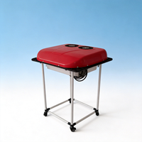 Climatiseur de stationnement RUIDIAITE à double ventilateur 12/24 Volts, alimenté par batterie, pour le refroidissement de la cabine de véhicule