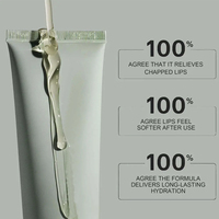 Gloss à lèvres à base de plantes personnalisé été 2025, rouge à lèvres hydratant longue durée avec soin des lèvres lisse, baume à lèvres brillant pour un usage quotidien