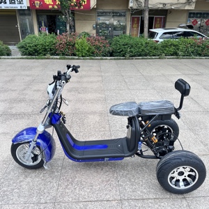 Unisex Tricycle EEC Approved Dirt Scooter Motorcycle 2000w Powerful 3000W Scooters Y20 High-Powered Motor 2000W Motor Delivers E - Product Image 5