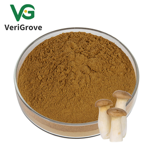 Экстракт грибов 20% полисахаридов - Product Image 1