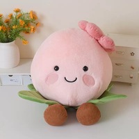 Jouets en peluche amusants personnalisables de grande taille, en vrac, à base de plantes, coussins de lit amusants, cadeaux d'anniversaire – Vente chaude
