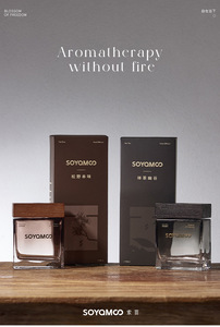 Florescence Nhà Sản Xuất Sáng Tạo 150Ml Hộ Gia Đình Hương Thơm Phòng Làm Mát Không Khí Dầu Thơm Độc Đáo Vuông Sang Trọng Bộ Reed Khuếch Tán - Product Image 6