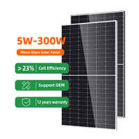 Panneaux solaires bifaciaux double vitrage OEM pour usage domestique 18V 60W 80W 100Wp 150W 200W 250W 300W pour fermes, usines et installations