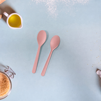 Couteau/Fourchette/Cuillère/Spork en CPLA de couleur personnalisée, petit format, pour glace/gâteau, logo gravé, certifié DIN/BPI/OK