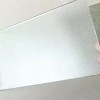 Vidrio Templado Fotovoltaico Ultra Blanco con Patrón de Tela, Fabricante de Vidrio para Lámparas con Recubrimiento Solar, Pulido de Precisión Personalizado