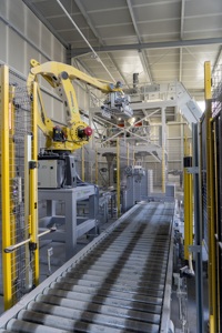 Piedras de Coral Rosa para Construcción, 60-100mm - Sueltas - Product Image 6