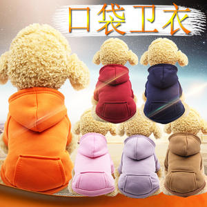 Sonbahar kış Pet Hoodies iki bacaklı giysi spor tarzı cep köpek Hoodie evcil köpek kıyafeti kedi giyim Pet malzemeleri - Product Image 2