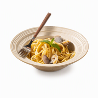 Bol et assiette à pâtes en céramique rustique style japonais pour la table à manger à la maison