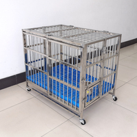 Vente flash - Cage à chien robuste et écologique en acier inoxydable, grande taille, avec motif animalier, pour chiens, toutes saisons