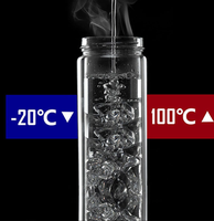 Bouteille d'eau en verre portable avec infuseur à fruits personnalisé, marque privée, avec filtre à thé, double paroi, verre borosilicate de haute qualité, bouteille à thé