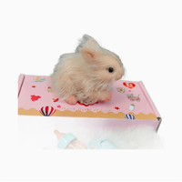 Poupée réaliste en silicone de 12 cm, lapin reborn, jouet reborn écologique, figurine d'animal miniature réaliste pour enfants