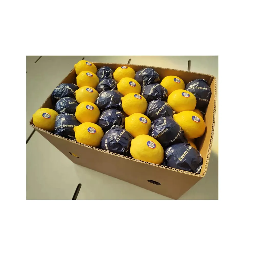 Cítricos frescos y nutritivos, frutas frescas de fábrica, cítricos de limón amarillo