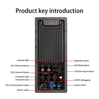 Carte d'amplificateur audio de module d'alimentation professionnel PA600 DSP 600W * 2 amplificateur de puissance pour haut-parleur
