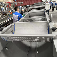 Continue vortex wasmachine voor het reinigen van kool, salade en groenten