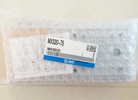 Nuevo Controlador PLC Dedicado para Automatización Industrial Mxs20-75, Original, Disponible en Stock