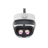 Prise en charge du suivi des yeux au niveau de l'entreprise 6D pour PC sans fil VR Streaming Snapdragon VR Hardware Pico Neo3 Pro Eye 3D VR Headset