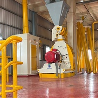 Máquina Peletizadora de 10 TPH para Alimento Animal, Máquina para Molino de Alimento para Aves, Máquina Procesadora de Alimento para Ganado, Máquina para Hacer Pellets de Pollo