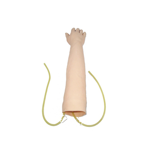 <span class=keywords><strong>Braccio</strong></span> di addestramento venipuntura per adulti, simulatore di addestramento di iniezione Phantom - Product Image 2