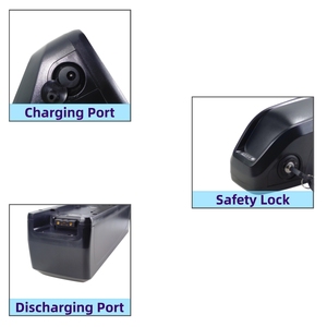 Batterie de vélo <span class=keywords><strong>cargo</strong></span> électrique <span class=keywords><strong>RadWagon</strong></span> 4, 48V 10.4Ah 12Ah 12.8Ah 14Ah, batterie de vélo électrique au lithium - Product Image 5