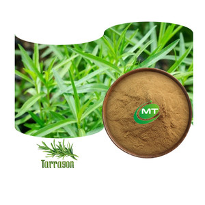 Mẫu miễn phí chất lượng hàng đầu Trung Quốc Artemisia dracunculus chiết xuất tarragon chiết xuất - Product Image 1