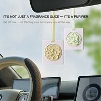 Relaxlines Tablettes parfumées écologiques suspendues pour armoire, en gypse et cire, pour la décoration intérieure, la voiture et la maison