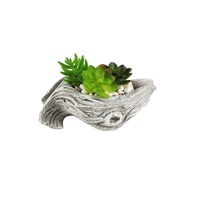 Consultation de jardinier pour pots de fleurs : Pots en ciment personnalisés pour plantes succulentes artificielles – Pots de culture