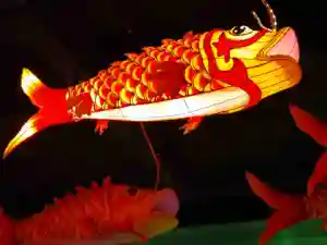 High Quality Chinese New Year Decoration Animal Fish Lanterns Outdoor For Show