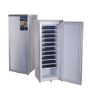 175L dọc DC 12V 24V panel năng lượng mặt trời 11 lớp thẳng đứng 12 giờ Máy Làm Đá thẳng đứng tủ đông - Product Image 1