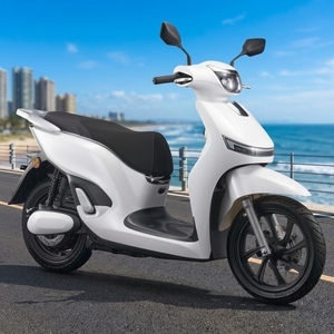 มอเตอร์ไซค์วินเทจสปอร์ตไบค์ FUNTI ขนาด 14 นิ้ว ความเร็วสูง กำลังแรง 72V 2000W 60 กม./ชม. สำหรับผู้ใหญ่ - Product Image 1