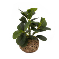 Plantes artificielles miniatures en pot Tizen, plantes artificielles en pot de type fougère, décorations végétales artificielles pour la maison