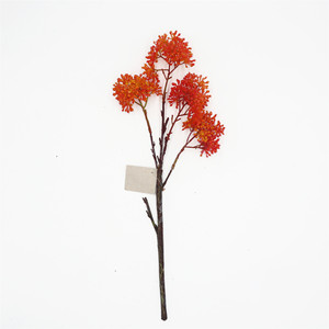 Ot-ALE 24 Uds., 19,5 ", para balsas - Product Image 5