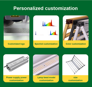 Kuajiguang tốt nhất lm301h EVO phát triển đèn 1000W quang phổ đầy đủ UV IR 800W Đèn cân bằng ppfd dẫn phát triển ánh sáng cho các nhà máy trong nhà - Product Image 4