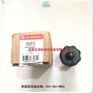 วาล์วลดแรงดันอิมิ นอร์เกรน รุ่น R24-300-RNCA ขนาด 3/8 นิ้ว สำหรับควบคุมแก๊ส ใช้งานทั่วไป - Product Image 4