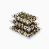 Cartons à œufs de caille de haute qualité, emballage en blister en PVC écologique, plateau à œufs 6 12 15 18 20 24 30 trous, industrie alimentaire, prix bas