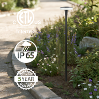 Lumière extérieure basse tension LED de voie de paysage de jardin pour la passerelle extérieure cour chemin Patio pelouse fleur lit plante décor