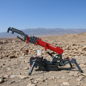 L-339 New 3 Ton 5t 8 Ton Mini Hydraulic Telescopic Boom <strong>Remote</strong> <strong>Control</strong> Electric Diesel Engine Spider <strong>Crane</strong> <strong>with</strong> CE Certificate - Product Image 3