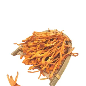 Chinese supplier special Hot Selling Smooth And Delicious Shitake Mushroom Cordyceps