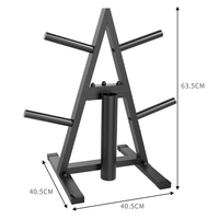 Support de rangement triangulaire multi-niveaux en acier et caoutchouc pour haltères et plaques de poids, équipement de gym OEM en forme de A