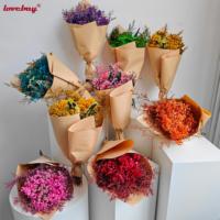 Bouquet de fleurs séchées naturelles de Gypsophile et Herbe de Cristal en gros, idéal pour l'arrangement floral DIY et la décoration de vases