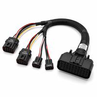 Professional Solvet Customizable Marine Boat Wiring Harness JST PH 20Pin AWG24 UL1015 Copper Conductor IP68 Center Console