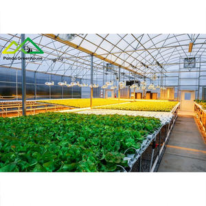 Sistema Hidropónico Avanzado de Gran Escala con Estructura de Acero Galvanizado por Inmersión en Caliente, Invernadero Combinado para Plantación, para una Aumento Exponencial de la Rentabilidad - Product Image 1